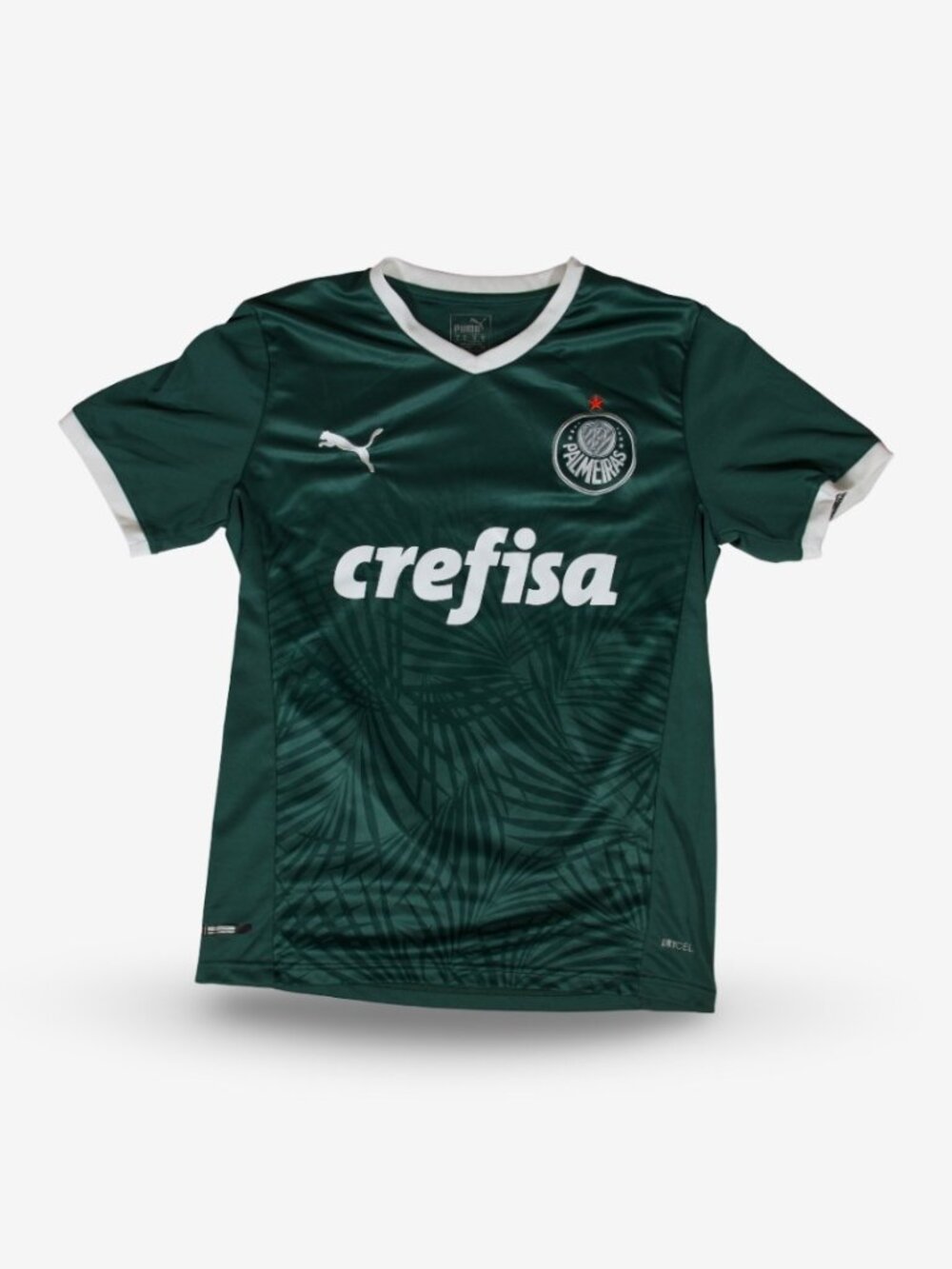 2022 Palmeiras Emilie #6 Puma Home Jersey